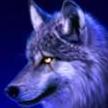 litewolf15