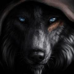 Black Wolf